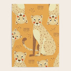 Cheetah, Wildlife of Africa Poster Gallery Image 4