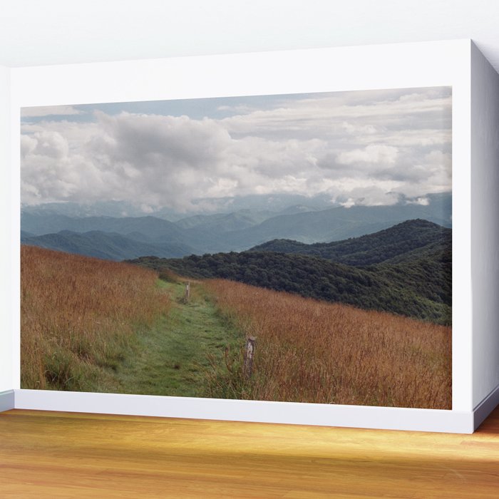Max Patch Wall Mural Gallery Image 2