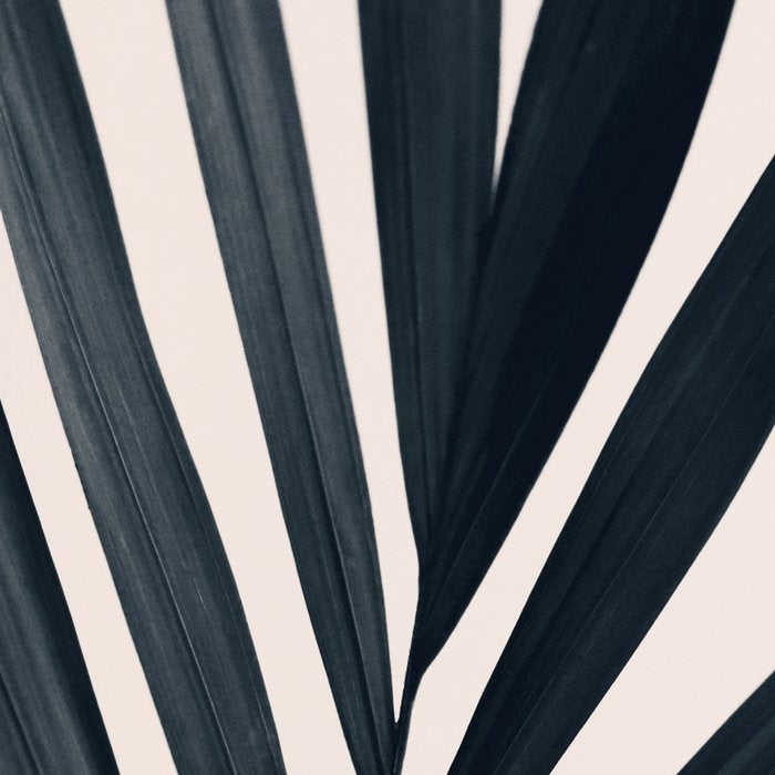 Gray Palm #3 Coffee Mug Gallery Image 2