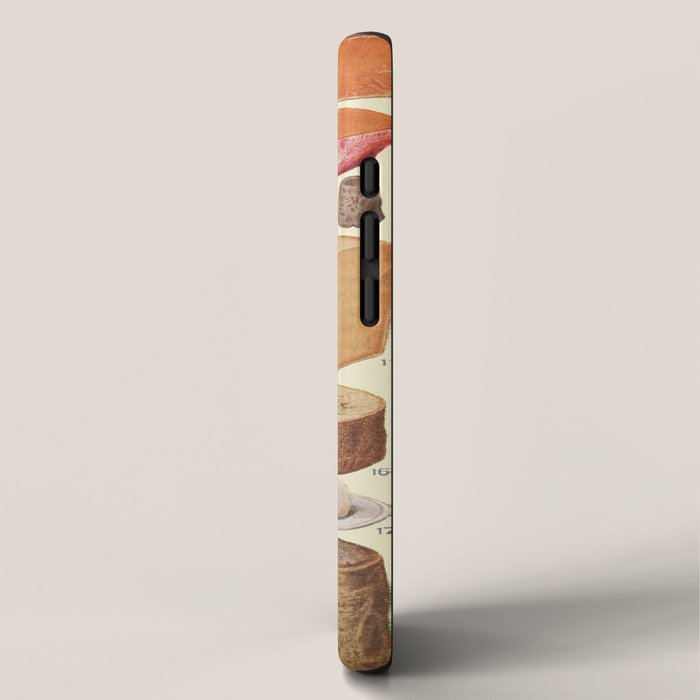 Vintage Cheese iPhone Case Gallery Image 2