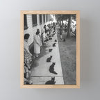 Cat Audition, Black and White, Vintage Art Mini Art Print Gallery Image 1