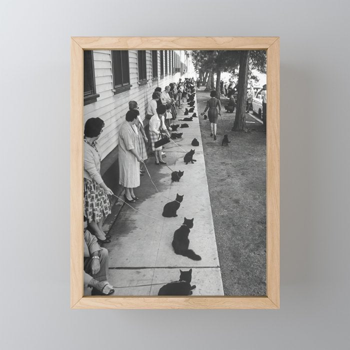Cat Audition, Black and White, Vintage Art Mini Art Print Gallery Image 1