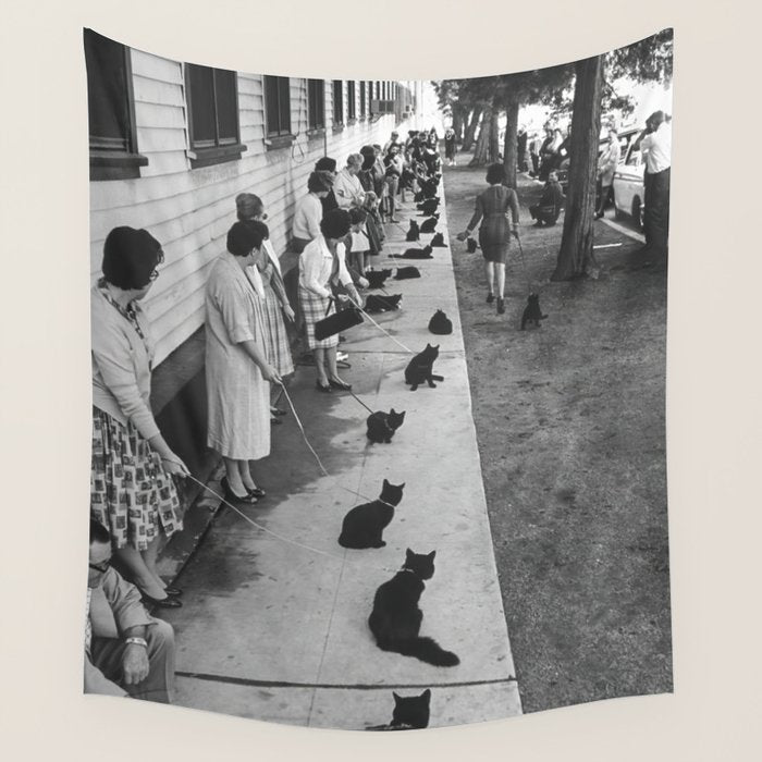 Cat Audition, Black and White, Vintage Art Wall Tapestry Gallery Image 1