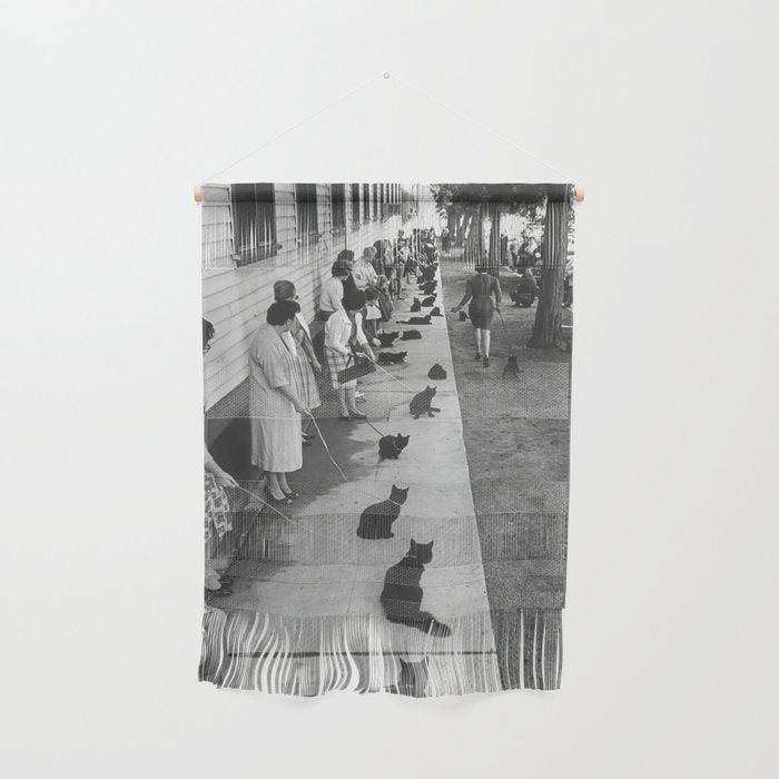 Cat Audition, Black and White, Vintage Art Wall Hanging Gallery Image 1