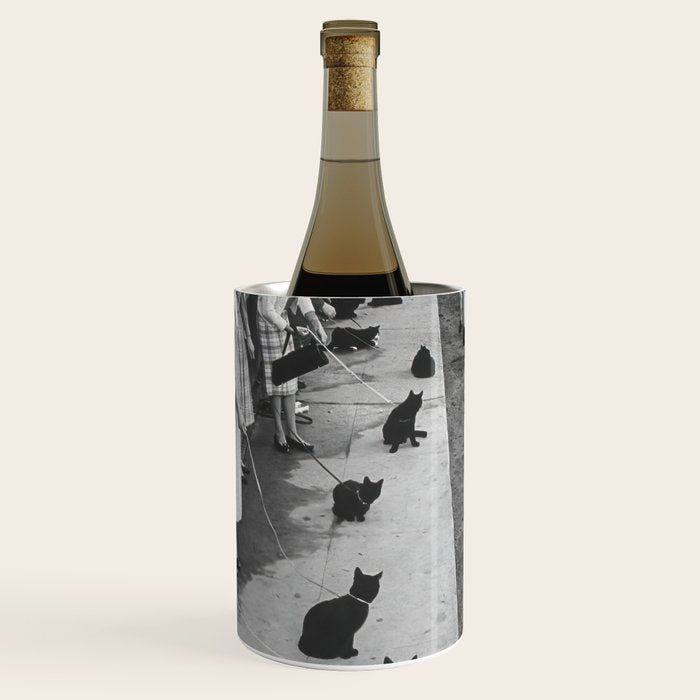 Cat Audition, Black and White, Vintage Art Wine Chiller Gallery Image 1