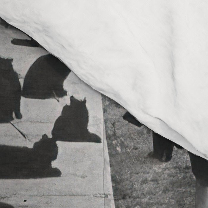 Cat Audition, Black and White, Vintage Art Comforter Gallery Image 4