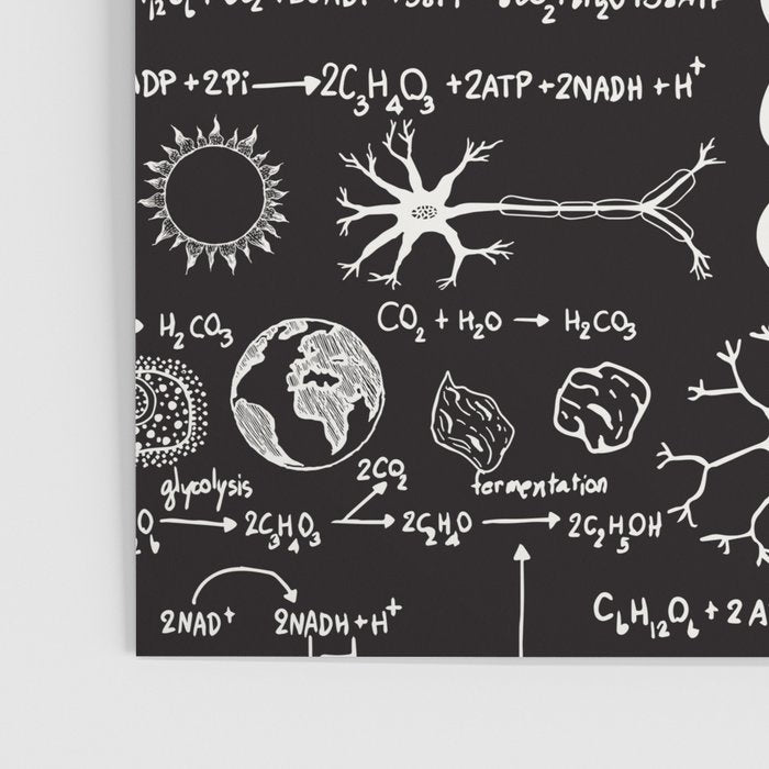 Science Madness Poster Gallery Image 3