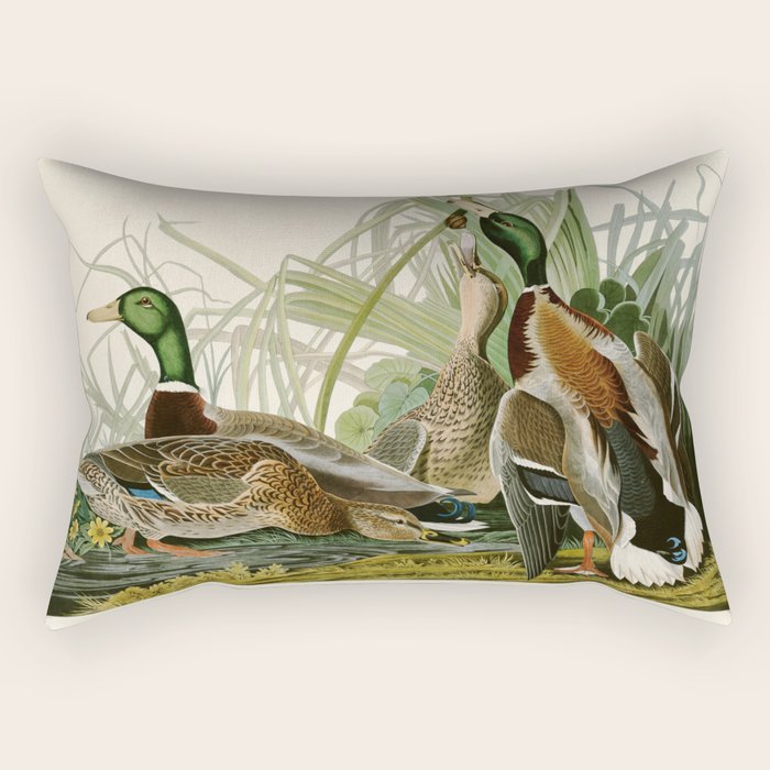 Mallard Duck - John James Audubon Birds of America Rectangular Pillow Gallery Image 2