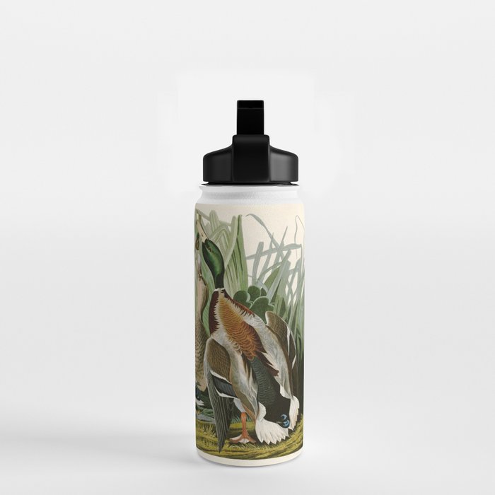 Mallard Duck - John James Audubon Birds of America Water Bottle Gallery Image 2