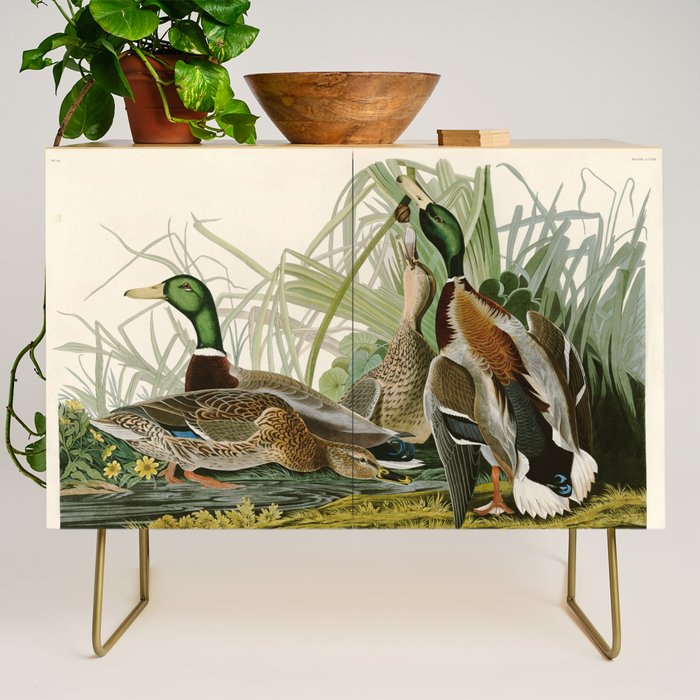 Mallard Duck - John James Audubon Birds of America Credenza Gallery Image 1