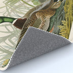 Mallard Duck - John James Audubon Birds of America Rug Gallery Image 4