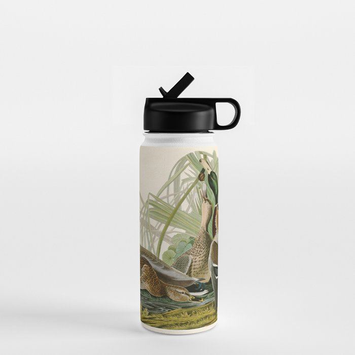Mallard Duck - John James Audubon Birds of America Water Bottle Gallery Image 1