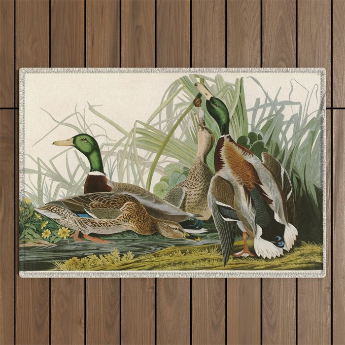 Mallard Duck - John James Audubon Birds of America Outdoor Rug Gallery Image 1