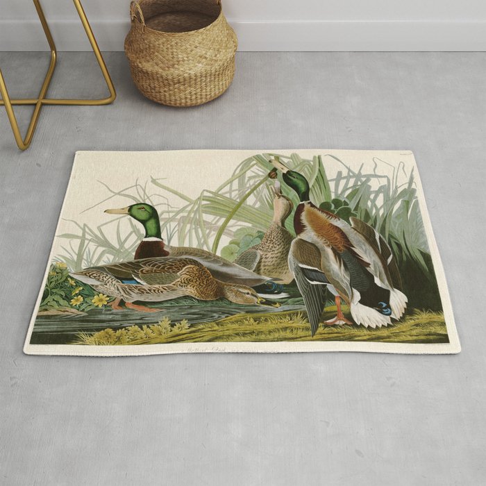Mallard Duck - John James Audubon Birds of America Rug Gallery Image 1