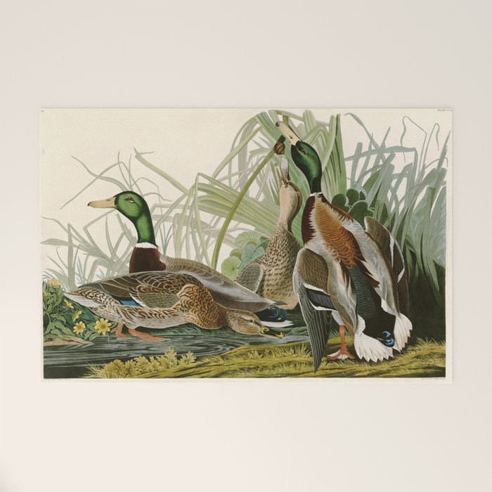 Mallard Duck - John James Audubon Birds of America Welcome Mat Gallery Image 1