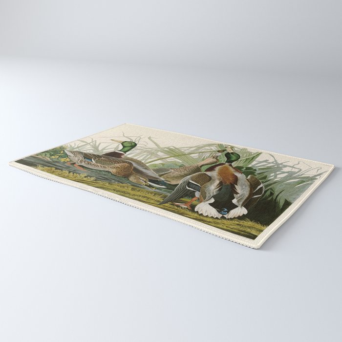 Mallard Duck - John James Audubon Birds of America Rug Gallery Image 3