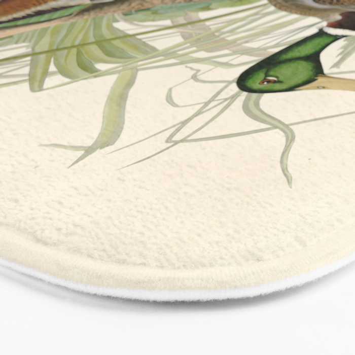 Mallard Duck - John James Audubon Birds of America Bath Mat Gallery Image 3