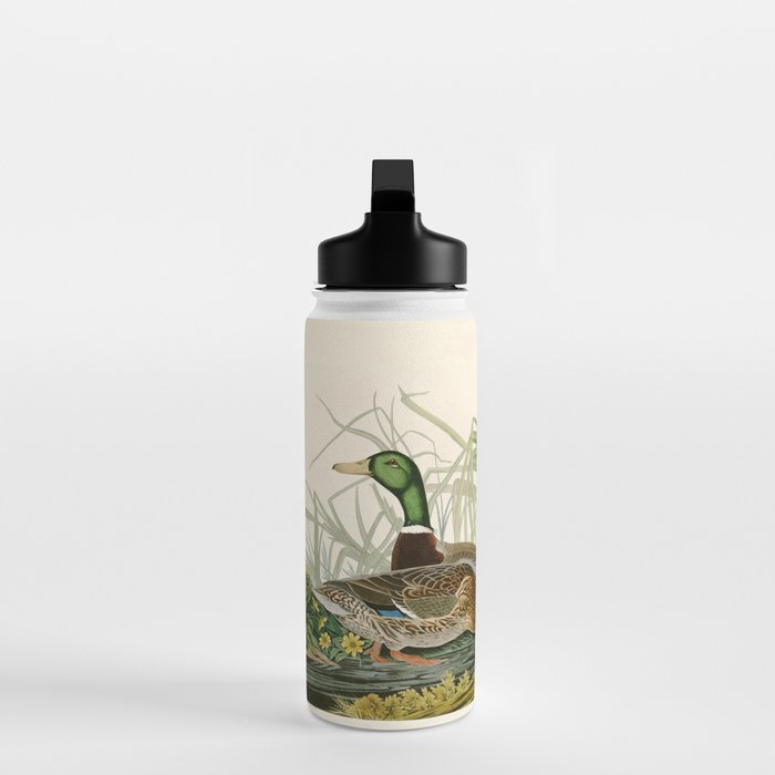 Mallard Duck - John James Audubon Birds of America Water Bottle Gallery Image 3