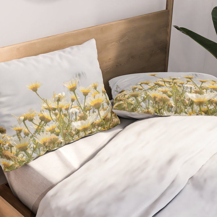 Garden of Daisy Flowers | Nature Photography in Portugal Art Print | Floral Summer Photo Pillow Sham Gallery Image 2