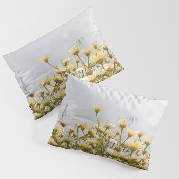 Garden of Daisy Flowers | Nature Photography in Portugal Art Print | Floral Summer Photo Pillow Sham Gallery Image 3