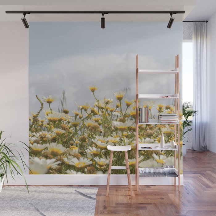Garden of Daisy Flowers | Nature Photography in Portugal Art Print | Floral Summer Photo Wall Mural Gallery Image 1