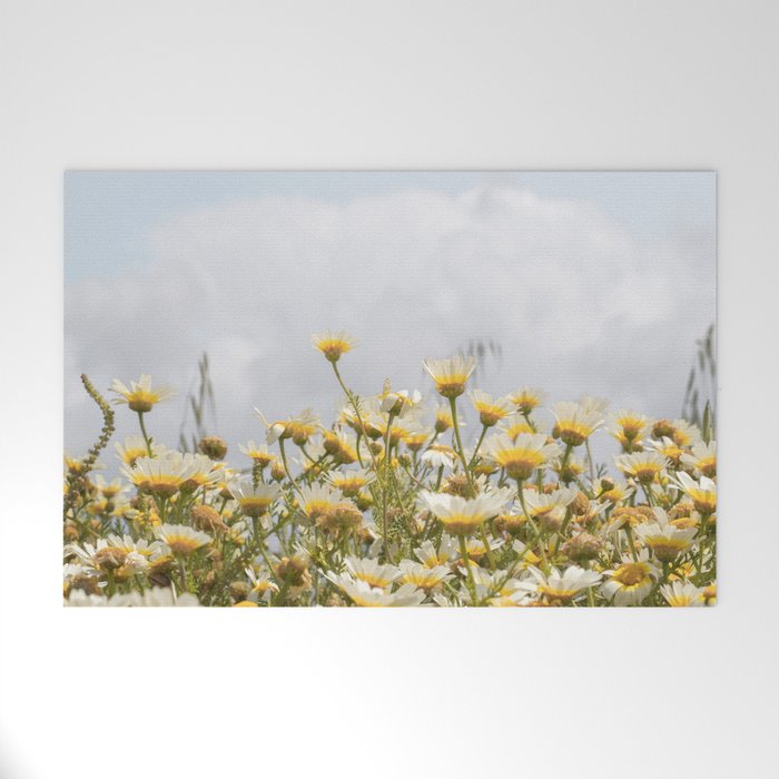 Garden of Daisy Flowers | Nature Photography in Portugal Art Print | Floral Summer Photo Welcome Mat Gallery Image 1