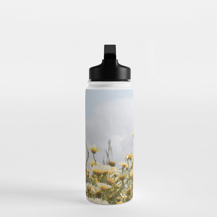 Garden of Daisy Flowers | Nature Photography in Portugal Art Print | Floral Summer Photo Water Bottle Gallery Image 3