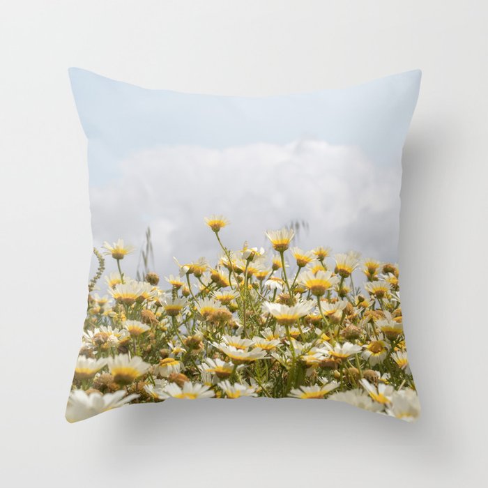 Garden of Daisy Flowers | Nature Photography in Portugal Art Print | Floral Summer Photo Throw Pillow Gallery Image 6