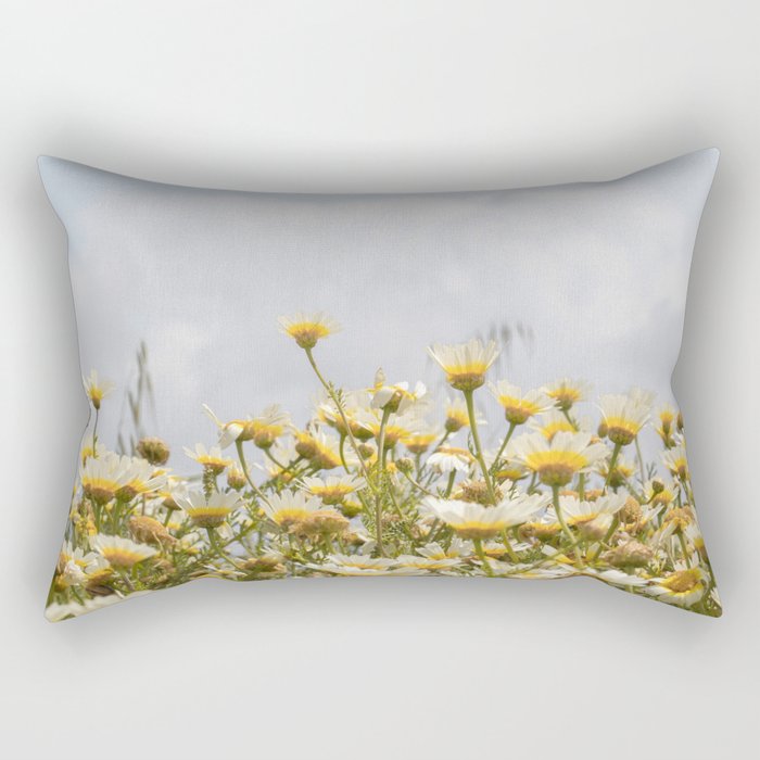 Garden of Daisy Flowers | Nature Photography in Portugal Art Print | Floral Summer Photo Rectangular Pillow Gallery Image 1