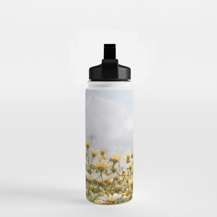 Garden of Daisy Flowers | Nature Photography in Portugal Art Print | Floral Summer Photo Water Bottle Gallery Image 2