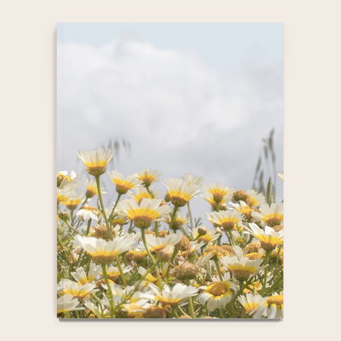 Garden of Daisy Flowers | Nature Photography in Portugal Art Print | Floral Summer Photo Notebook Gallery Image 4
