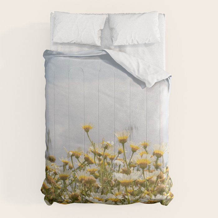 Garden of Daisy Flowers | Nature Photography in Portugal Art Print | Floral Summer Photo Comforter Gallery Image 1