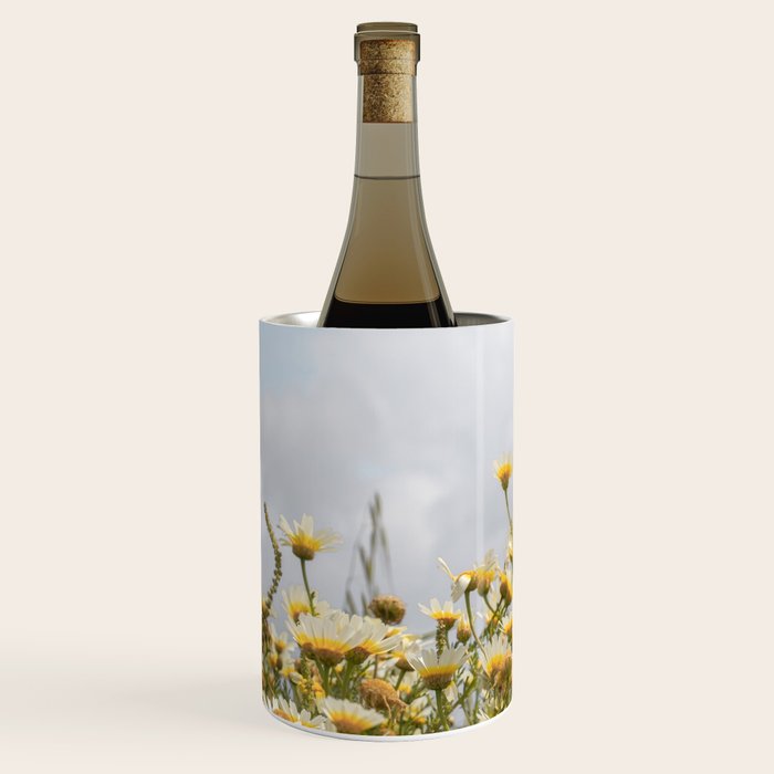 Garden of Daisy Flowers | Nature Photography in Portugal Art Print | Floral Summer Photo Wine Chiller Gallery Image 2