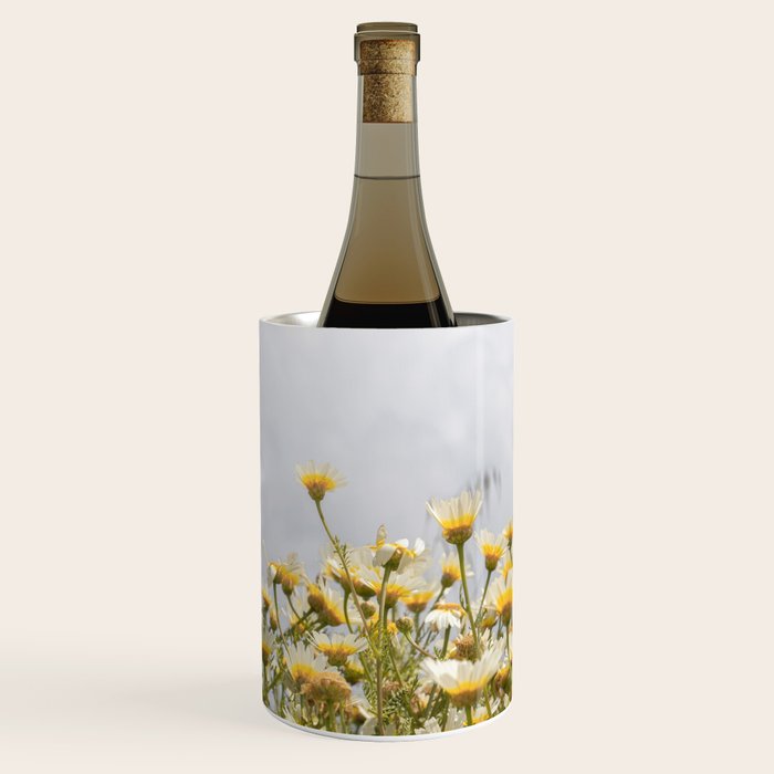 Garden of Daisy Flowers | Nature Photography in Portugal Art Print | Floral Summer Photo Wine Chiller Gallery Image 1