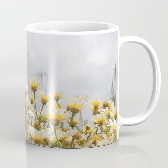 Garden of Daisy Flowers | Nature Photography in Portugal Art Print | Floral Summer Photo Coffee Mug Gallery Image 1