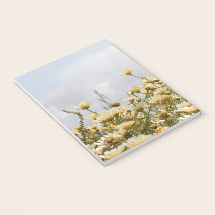 Garden of Daisy Flowers | Nature Photography in Portugal Art Print | Floral Summer Photo Notebook Gallery Image 3