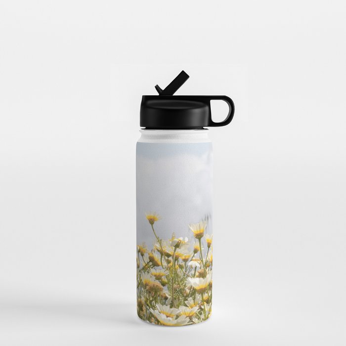 Garden of Daisy Flowers | Nature Photography in Portugal Art Print | Floral Summer Photo Water Bottle Gallery Image 1
