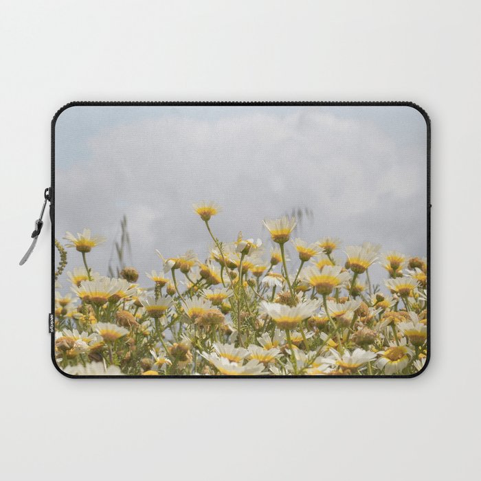 Garden of Daisy Flowers | Nature Photography in Portugal Art Print | Floral Summer Photo Laptop Sleeve Gallery Image 1