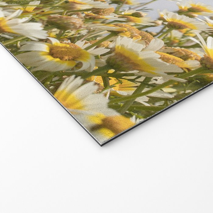 Garden of Daisy Flowers | Nature Photography in Portugal Art Print | Floral Summer Photo Welcome Mat Gallery Image 2