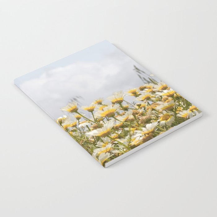 Garden of Daisy Flowers | Nature Photography in Portugal Art Print | Floral Summer Photo Notebook Gallery Image 2