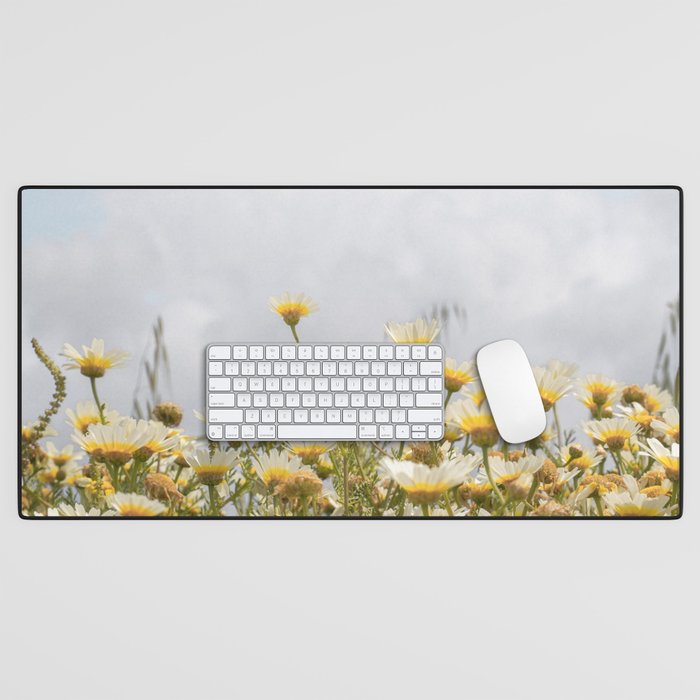 Garden of Daisy Flowers | Nature Photography in Portugal Art Print | Floral Summer Photo Desk Mat Gallery Image 1