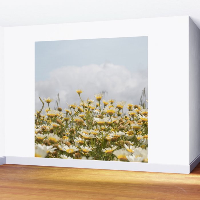 Garden of Daisy Flowers | Nature Photography in Portugal Art Print | Floral Summer Photo Wall Mural Gallery Image 2
