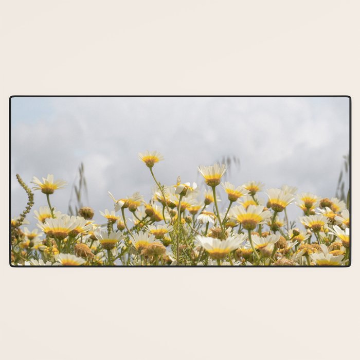 Garden of Daisy Flowers | Nature Photography in Portugal Art Print | Floral Summer Photo Desk Mat Gallery Image 3
