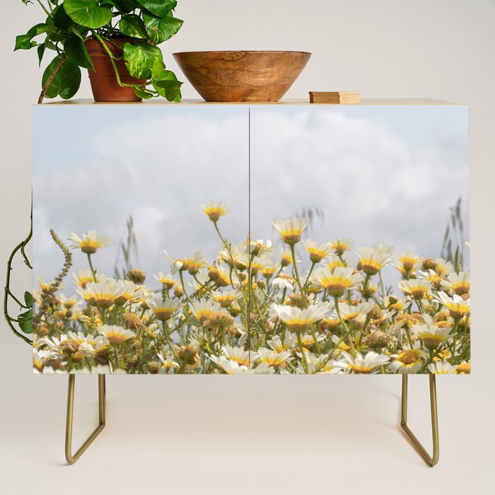 Garden of Daisy Flowers | Nature Photography in Portugal Art Print | Floral Summer Photo Credenza Gallery Image 1