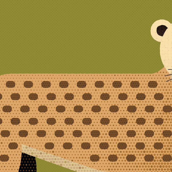 Whimsy Leopard Coffee Mug Gallery Image 2