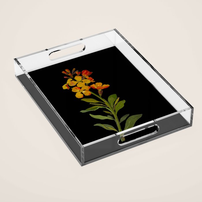 Cheiranthus Cheiri  by Mary Delany Paper Collage Floral Flower Botanical Paper Mosaic Vintage Scientific Plant Anatomy Acrylic Tray Gallery Image 1