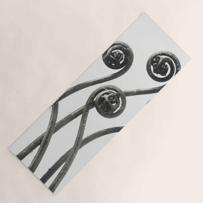American Maiden-hair Fern fronds wonders of nature black and white photograph by Karl Blossfeldt Yoga Mat Gallery Image 1