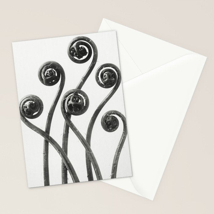 American Maiden-hair Fern fronds wonders of nature black and white photograph by Karl Blossfeldt Stationery Card Gallery Image 2