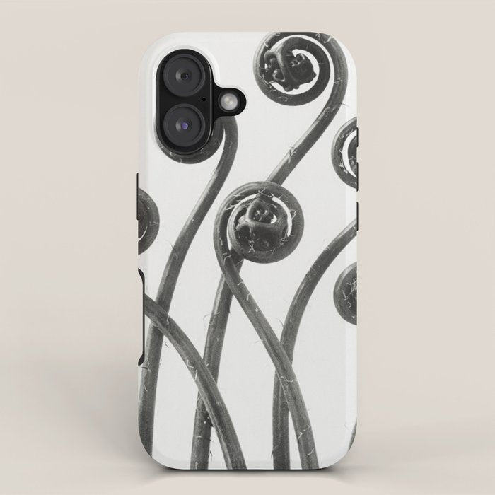 American Maiden-hair Fern fronds wonders of nature black and white photograph by Karl Blossfeldt iPhone Case Gallery Image 1