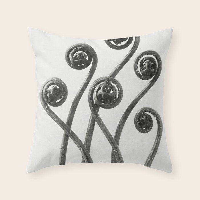 American Maiden-hair Fern fronds wonders of nature black and white photograph by Karl Blossfeldt Throw Pillow Gallery Image 6
